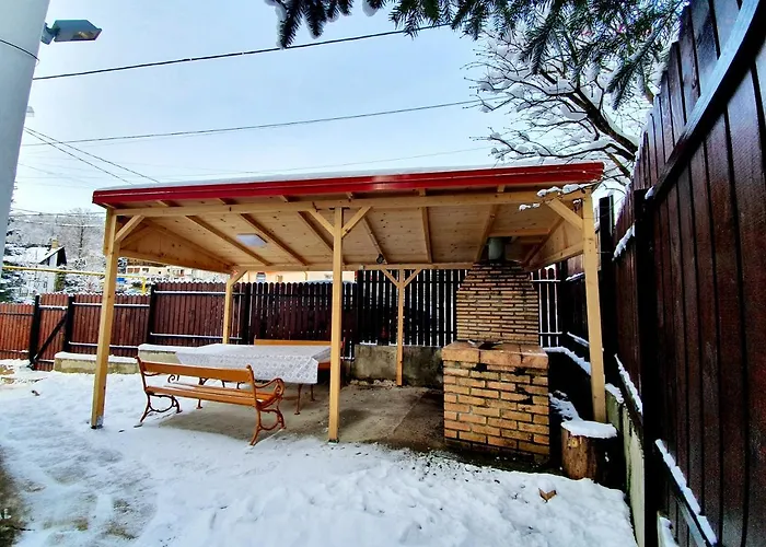 Vila Alma Azuga